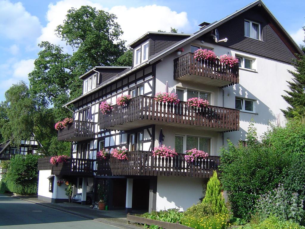 Villa Ferienhaus Hedrich Assinghausen Exterior foto
